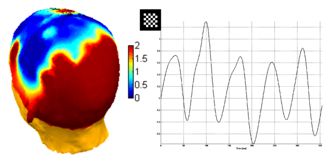 SSVEP Data